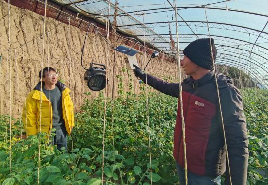 恒行测速：宁夏积极应对寒潮提稳百姓“菜篮子”